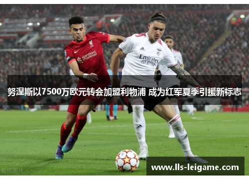 努涅斯以7500万欧元转会加盟利物浦 成为红军夏季引援新标志